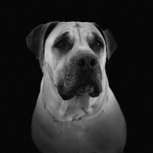 Meet your Posher, Kurt